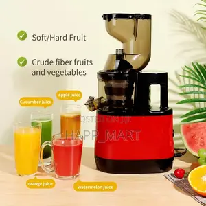 Powerful Multi-Function Juice Extractor