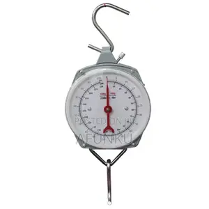 100kg Mechanical Hanging Scale With Hooks