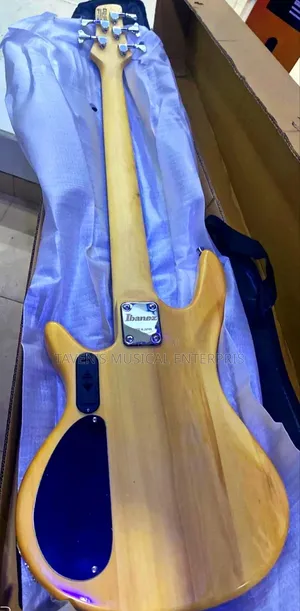 Ibanez Gsr205 Electric Bass Guitar