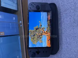 Handheld Game