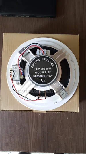 Passive Ceiling Speaker for Pop