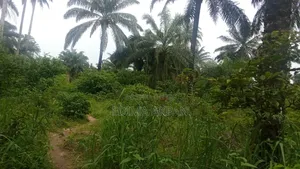 Land for Sale! Serious Buyers Only for Quick and Urgent Sales