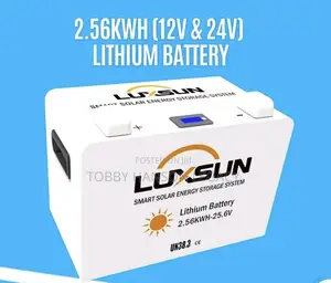 Luxsun 2.56 KWH 24v (25.6v) Lithium Ion Battery