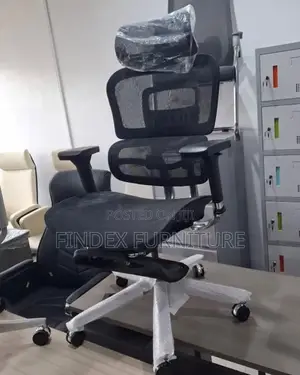 Executive Ergonomic Chair With Leg Rest