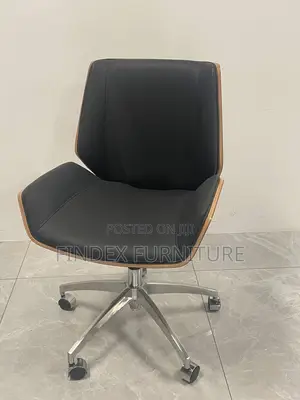 Executive Fashion Chair