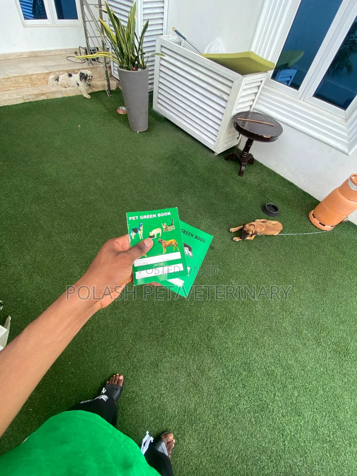 Premium Veterinary Care, Right at Your Doorstep