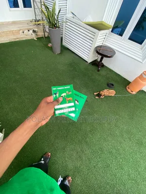 Premium Veterinary Care, Right at Your Doorstep
