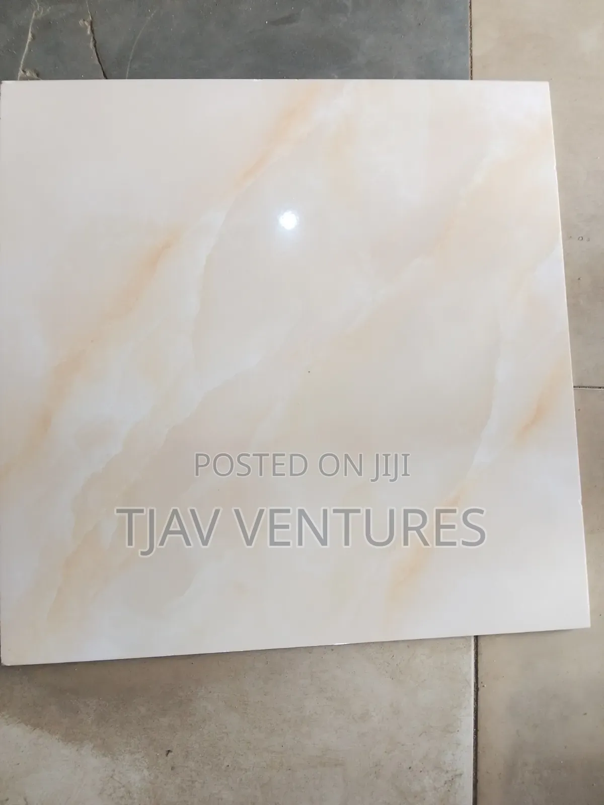 Glossy Floor Tiles