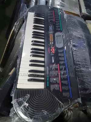 Casio CTK-401 Keyboard – Easy to Use 