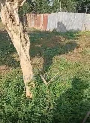 Land Plot for Sale