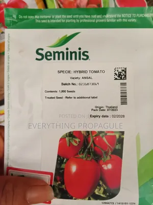 Seminis Ansal Hybrid Tomato Seeds