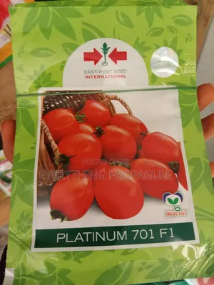 East-West Seed Platinum 701 F1 Tomato Seeds