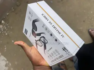 A1 Smart Glasses