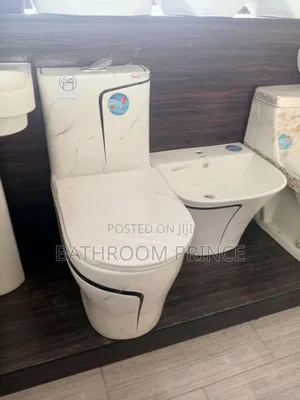 Executive Design Water Closet With Wall Hung Basin