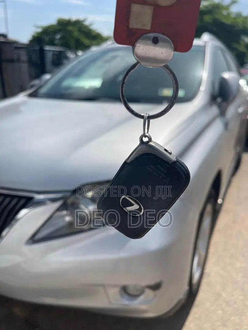 Lexus RX 350 2010 Silver