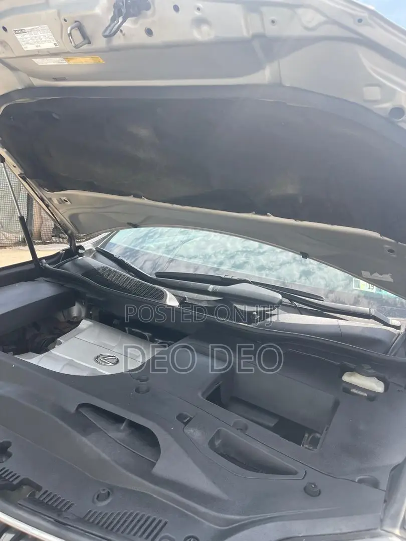 Lexus RX 350 2010 Silver