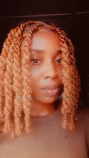Coco Twist Braided Wig