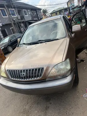 Lexus RX 2003 Brown