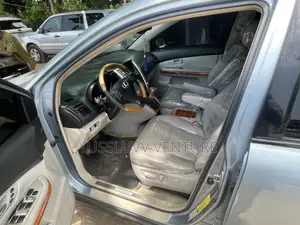 Lexus RX 2007 Blue