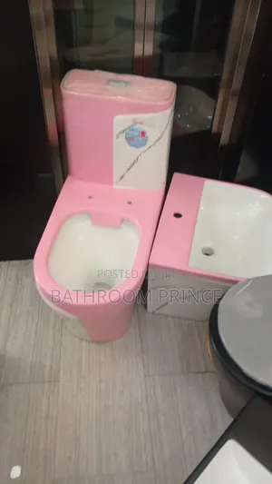 Luxury Pink and Inner White Surface Water Closet