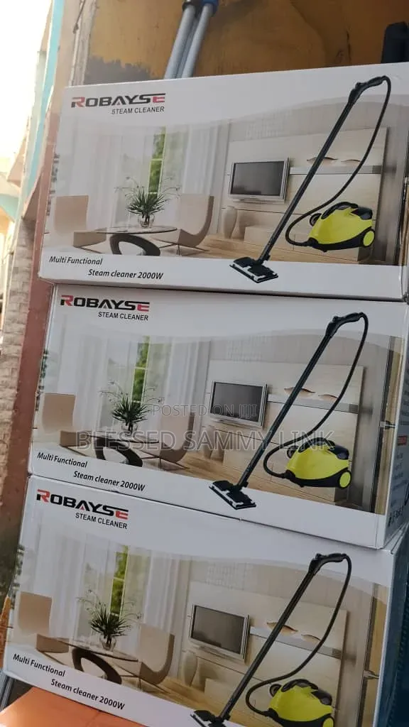 Multifunctional Steam Cleaner 2000w