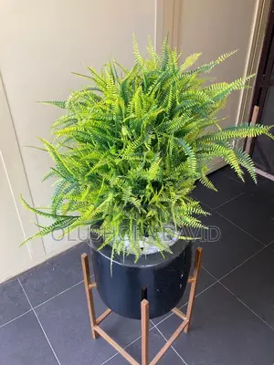 Beautiful Ceramic Flower Vase for Sale