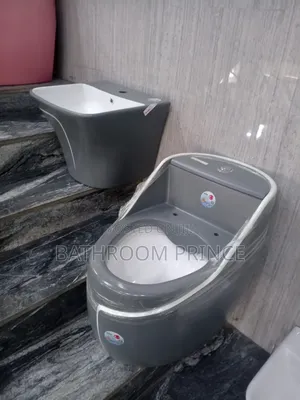 Luxury Grey and Inner Black Surface Water Closet