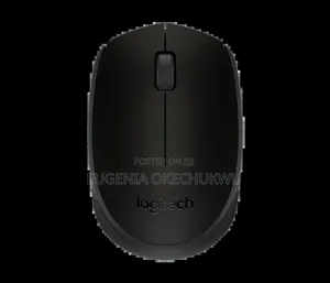Logitech Wireless Mouse M171