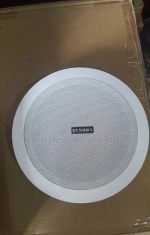 30watts Original Tundra Passive Frame Ceiling Speaker for Pop