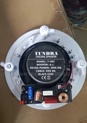 30watts Original Tundra Passive Frame Ceiling Speaker for Pop