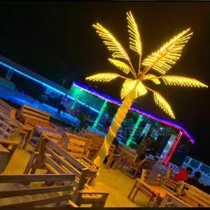 Coconut Tree Stage Lights