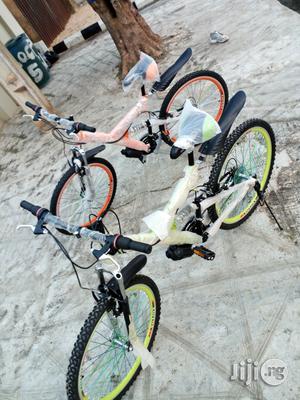 Bicycle Adult