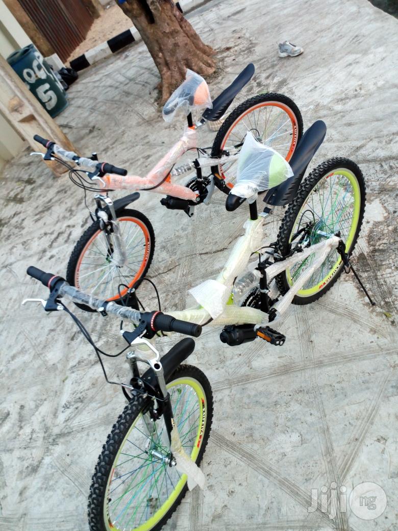 Bicycle Adult