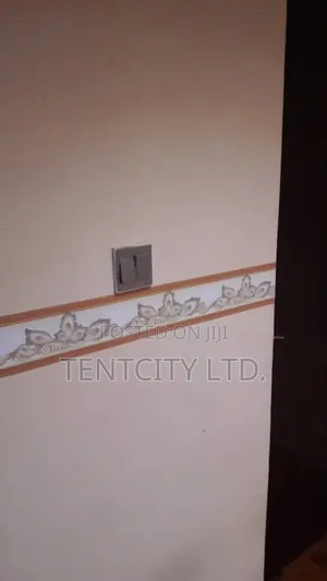 Wall Borders - Beautify Your Room/Office/Shop