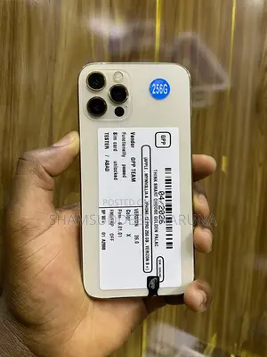 Apple iPhone 12 Pro 256 GB Gold