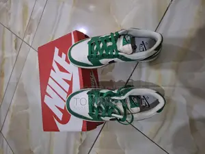 Original Nike Dunk Low Retro Se