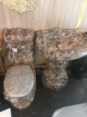 Executive Complete Toilet Seat With Washing Basin