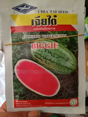 Chia Tai Biggie F1 Hybrid Watermelon Seeds