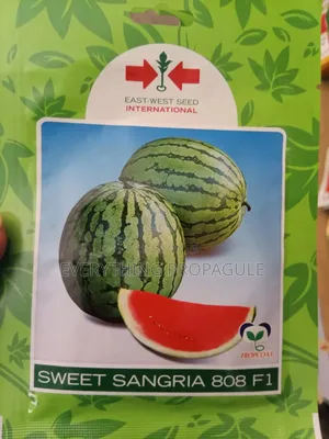East-West Seed Sweet Sangria 808 F1 Watermelon Seeds