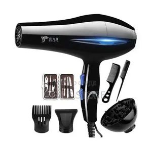 Deliya Professional Hand Hair Blow Dryer and Straightener