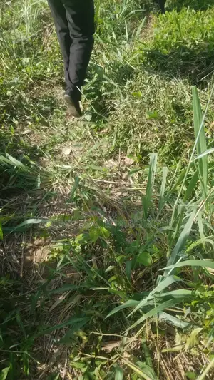 3 Plots of Land for Sale at Ijadu Ado Ekiti