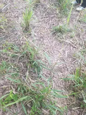 2plots Land Behinde Deeper Life Sch, Afao Rd Ado Ekiti