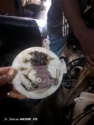 Fuel Filter Range Rover 010