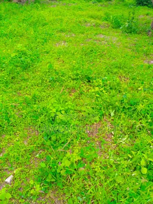 1.10hectares Residential Land at Guzape 2