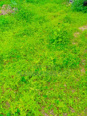 1.10hectares Residential Land at Guzape 2