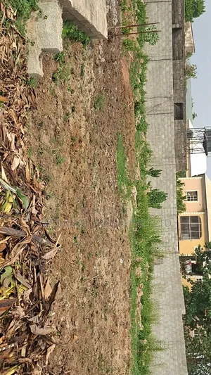 756sqm Kubwa Anex