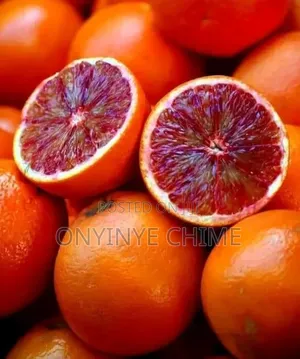 Blood Orange Seedlings