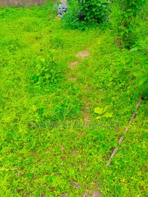 5,964sqm Residential Land At Kado