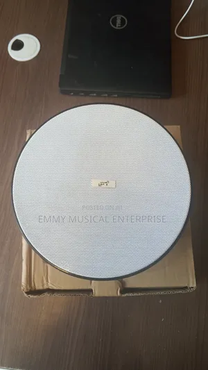 30w Original Lax Passive Ceiling Speaker for Pop