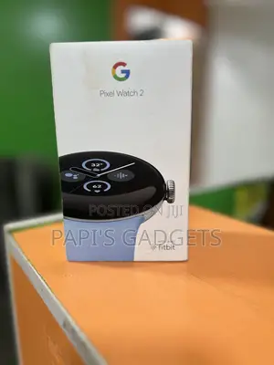 New Google Pixel Watch 2 Lte Polished Silver Case Bay Blue Active Band